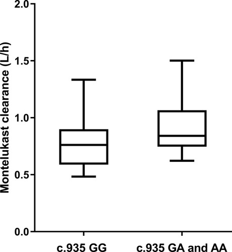 Figure 2 Relationship between SLCO2B1 genotype and Montelukast clearance (n = 50, p = 0.020). X-axis: SLCO2B1 genotype (c.935GG vs c.935GA and c.935AA). Y-axis: Montelukast clearance (L/h).