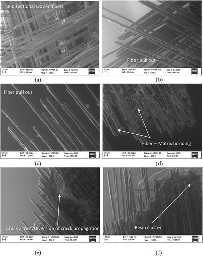 Figure 3. SEM images of glass fiber-epoxy-nanoclay ternary nanocomposite