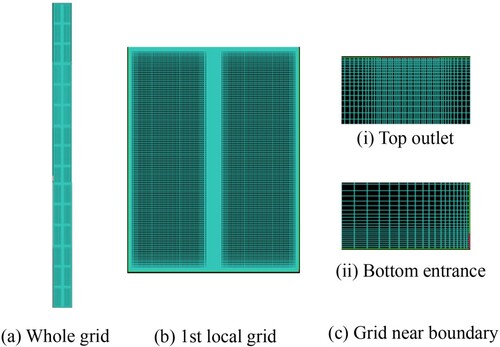 Figure 3. Schematic diagram of shaft model mesh: (i) is the mesh near the top outlet, and (ii) is the mesh near the bottom entrance. (a) whole grid; (b) 1st local grid; (c) grid near boundary.