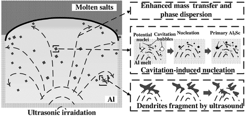 Figure 9. The mechanism of refining of the Al3Sc phase by ultrasound (Liu et al. Citation2019a).