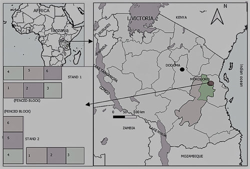 Figure 1. The study area map: The Kitulangalo Forest Reserve in the Morogoro Region, Tanzania.