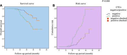 Figure 1 Survival curve and risk curve in the CRC cohort. (A) Survival curve in the CRC cohort. (B) Risk curve in the CRC cohort.