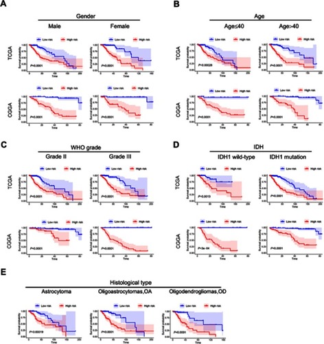 Figure 5 Stratification analysis by different clinical pathological parameters. The Kaplan-Meier curve showed significant statistical differences in overall survival between the high-risk group and the low-risk group in different gender (A), age (B), WHO grade (C), IDH status (D), and histological type (E).