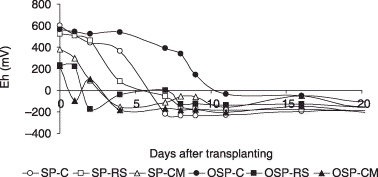 Figure 3  Redox potential (Eh) measurements with buried probes during the first 20 days after transplanting. OSP, plots outside the saline patch; SP, plots inside the saline patch; C, control treatments with no amendments; RS, rice-straw amendment treatments; CM, cow-manure amendment treatments.