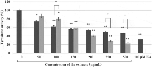 Figure 3. Tyrosinase inhibition activities of the EtOH ext. and the scCO2 ext. of Kuji amber. ■ EtOH extract, Display full size scCO2 extract. *p < 0.05, **p < 0.01 (significant difference compared to the control). +p < 0.05.