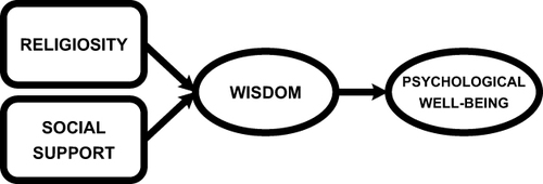 Figure 4 The conceptual model of psychological Well-being among older people.