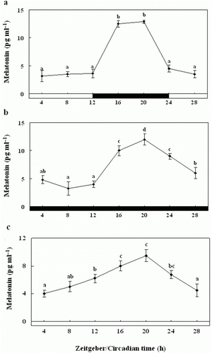 Figure 9.  Enzyme-linked immunosorbent assay of the melatonin levels of the pineal gland culture medium during the daily light:dark (LD) cycle (12:12) (a), constant dark (DD) (b) and constant light (LL) (c). The white bar represents the photophase and the black bar, the scotophase. Different letters indicate that values are statistically different in Zeitgeber time (ZT) and Circadian time (CT) (p < 0.05). All values represent means±SD (n = 5).