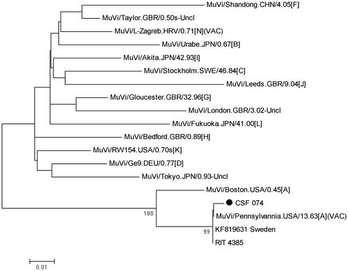 Figure 1: Neighbour-joining phylogenetic tree of the South African mumps virus specimen CSF074 in relation to selected other mumps virus nucleotide sequences in GenBank.