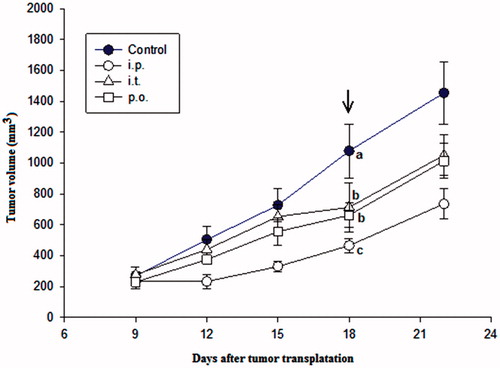 Figure 4. The effect of intra-peritoneal (i.p.), intra-tumour (i.t.) and per-oral (p.o.) application of PBA on the growth of mammary adenocarcinoma 4T1 transplanted into mouse thigh. PBA was injected in a dose of 100 mg/kg once a day for nine consecutive days starting from Day 9 after tumour transplantation. Each experimental group consisted of seven animals. Different letters beside the symbols indicate significant differences between the groups (p < .05, Tukey’s post hoc test) at the end of the treatment (arrow).