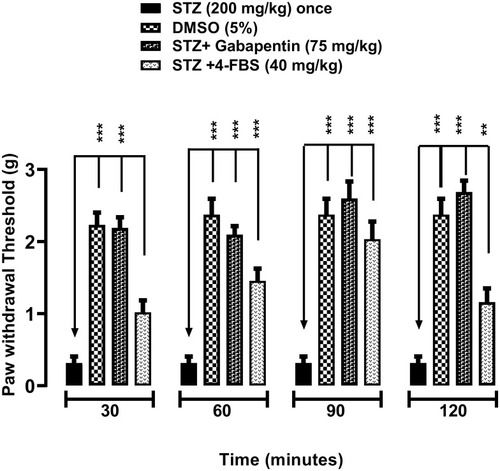 Figure 7 Effect of 4-FBS 40 mg/kg on paw withdrawal threshold time at different time-points. BALB/c mice (n=6/group) were used. 4-FBS at 40 mg/kg shows significant antiallodynic activity in the paw withdrawal threshold (n=6). One way ANOVA followed by Dunnett’s test shows significance difference between STZ control and 4-FBS 20mg +STZ group at all-time intervals except for 30 min. *p<0.05, **p<0.01, ***p<0.001.