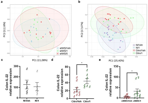 Figure 6. Impact of pasteurized A. muciniphila on fecal microbiota composition and colonic IL-22 expression in IBS-like models. (A and B) fecal microbiota composition was determined using 16S rRNA amplicon sequencing (V4 regions) (n = 10–12 per group), and principal coordinates analysis (PCoA) with a Bray-Curtis distance metric of the different mouse groups are shown for the NMS paradigm (a) and the C. rodentium infection (b) IBS-like mouse models. Ellipses represent the 95% confidence interval and the first and second components of the variance are shown in percentages. (e-e) colonic IL-22 expression (relative to 26S expression) in non-infected mice with or without 3 × 109 TFU pasteurized A. muciniphila (pAkk) treatment (c), in C. rodentium infected mice with or without 3 × 109 TFU pAkk treatment (d), and in sensitized NMS mice with or without 3 × 109TFU pAkk treatment (e). *p < 0,05; veh treatment vs. pAkk treatment.