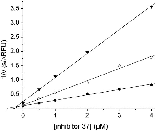 Figure 3. Dixon plot for the inhibition of the WNV NS2B-NS3 protease by inhibitor 37. Kinetic measurements have been performed with three different concentrations of the substrate Phac-Leu-Lys-Lys-Arg-AMC at 100 (•), 50 (^), and 25 μM (▾) using various inhibitor concentrations. The dashed line represents 1/Vmax, which was obtained from a Michaelis–Menten plot determined in parallel on the same 96-well plate.