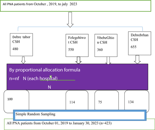 Figure 1 Diagram of sampling procedure number of seizure and factors associated among neonates with birth asphyxia admitted to NICU of Northwest Amhara regional state comprehensive and specialized hospitals, Northwest Ethiopia, 2023.