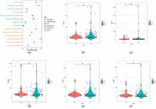 Figure 4. Exploration of the risk score and immune infiltration status. (a) Lollipop graph of the correlation between the immune cell infiltration status and risk score. (b-f) Violin plot of risk and ICI targets, including CTLA4, IDO1, PDCD1, ICOS, and LAG3