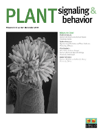 Cover image for Plant Signaling & Behavior, Volume 6, Issue 12, 2011