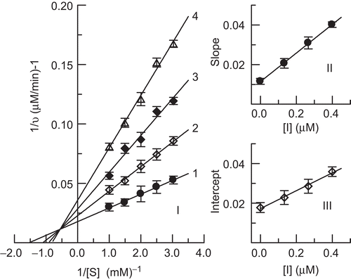 Figure 4.  Lineweaver–Burk plot for determination of inhibitory mechanism of hinokitiol on mushroom tyrosinase (I). Concentrations of hinokitiol for curves 1–4 were 0, 0.13, 0.26, and 0.40 μM, respectively. (II) and (III) represent plots of slope and intercept vs. concentration of hinokitiol for determining inhibition constants KI and KIS, respectively.