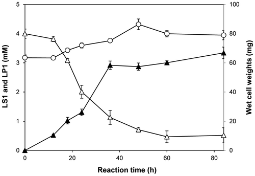 Fig. 4. Time course for the optimized biotransformation of LS1 into LP1.Note: The biotransformation of 4 mM LS1 was carried out with the cells cultivated in the optimized medium. The concentrations of LS1 (Δ) and LP1 (▲), and wet cell weight of R. rubropertinctus N82 (○) in course of the reaction time were shown.