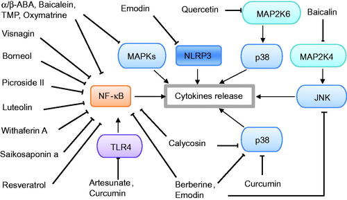 Figure 2. Potential signalling pathways of phytochemicals with anti-inflammatory effects against acute pancreatitis.