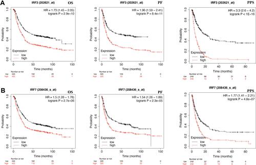 Figure 3 The prognostic value of IRF3/7 in STAD (KM plotter). (A) STAD patients with high mRNA level of IRF3 had a worse OS, PF and PPS. (B) STAD patients with high mRNA level of IRF7 had a worse OS, PF and PPS. All the analyses were performed with Kaplan-Meier analysis.