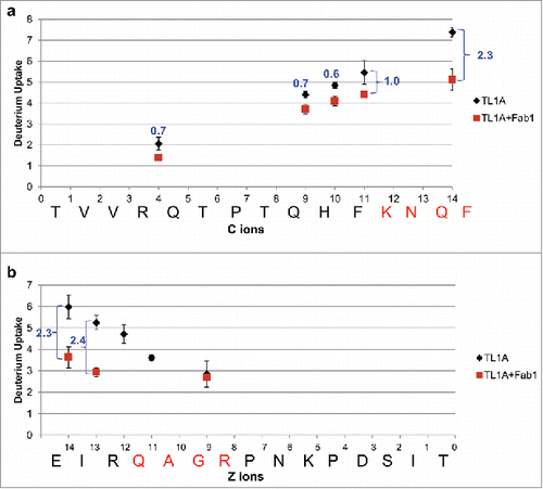 Figure 5. Deuterium uptake plots of ETD fragment ions between TL1A alone (black) and TL1A/Fab1 (dark red). (a) 102TVVRQTPTQHFKNQF116 and (b) 166EIRQAGRPNKPDSIT180. HDX-ETD was conducted in triplicate and the average deuterium uptake of each fragment ion was reported with standard deviation. The level of Fab1 binding-induced HDX reduction on each fragment ion was labeled in blue.