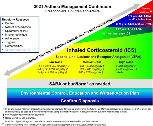 Figure 2. 2021 Asthma continuum.Management relies on an accurate diagnosis of asthma and regular reassessment of control and risk of exacerbation. All individuals with asthma should be provided with self-management education, including a written action plan. Adherence to treatment, inhaler technique, exposure to environmental triggers, and the presence of comorbidities should be reassessed at each visit and optimized.Individuals with well controlled asthma on no medication or PRN SABA at lower risk of exacerbation can use PRN SABA, daily ICS + PRN SABA, and if ≥ 12 years of age PRN bud/form*.Individuals at higher risk of exacerbation even if well-controlled on PRN SABA or no medication, and those with poorly-controlled asthma on PRN SABA or no medication should be started on daily ICS + PRN SABA. In individuals ≥ 12 years old with poor adherence despite substantial asthma education and support, PRN bud/form* can be considered. LTRA are second-line monotherapy for asthma. If asthma is not adequately controlled by daily low doses of ICS with good technique and adherence, additional therapy should be considered. In children 1-11 years old, ICS should be increased to medium dose and if still not controlled in children 6-11 years old, the addition of a LABA or LTRA should be considered. In individuals 12 years of age and over, a LABA in the same inhaler as an ICS is first line adjunct therapy. If still not controlled, the addition of a LTRA or tiotropium should be considered.In children who are not well-controlled on medium dose ICS, a referral to an asthma specialist is recommended. After achieving asthma control, including no severe exacerbations, for at least 3-6 months, medication should be reduced to the minimum necessary dose to maintain asthma control and prevent future exacerbations.HFA, hydrofluoroalkane; SABA, short-acting beta-agonist, LABA, long-acting beta-agonist, ICS, inhaled corticosteroid, LTRA, leukotriene receptor antagonist, bud/form: budesonide-formoterol in a single inhaler