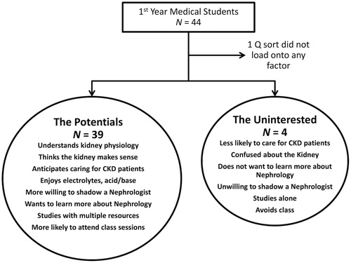Figure 2. Medical students who submitted Q sort surveys aligned within one of two factors. 39 students in the first factor have favorable attitudes toward kidney physiology (The Potentials), and 4 students have unfavorable attitudes (The Uninterested). One Q sort did not load significantly into either factor.
