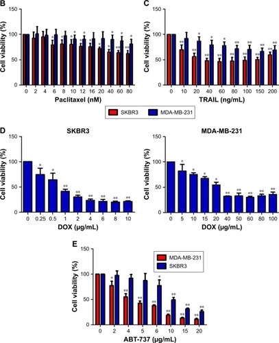 Figure 1 Cytotoxicity of fenofibrate, paclitaxel, TRAIL, ABT-737, and doxorubicin in human breast cancer cells.Notes: (A) Fenofibrate inhibited human breast cancer cell growth in vitro. The cancer cells were incubated in the presence of various concentrations of fenofibrate for 24 and 48 hours. Cell viability was determined by the MTT assay. Each point represents the mean of the data of three independent experiments; bars represent SD; *P<0.05 vs control; **P<0.01 vs control. (B–E) Paclitaxel, TRAIL, ABT-737, and doxorubicin suppressed human breast cancer cell growth in vitro. The cancer cells were incubated in the presence of various concentrations of fenofibrate for 24 hours. Cell viability was determined by the MTT assay. Each point represents the mean of the data of three independent experiments; bars represent SD; *P<0.05 vs control; **P<0.01 vs control.Abbreviations: DOX, doxorubicin; TRAIL, tumor necrosis factor-related apoptosis-inducing ligand.