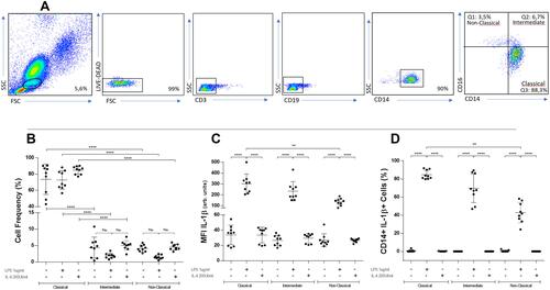 Figure 1 Gating strategy, flow cytometry analysis and intracellular IL-1β in CD14-CD16 defined subpopulations under different stimulation conditions. PBMC from healthy donors were stained with anti-CD3, anti-CD19, anti-CD14, anti-CD16, anti-CD86 and anti-CD163. Live cells were gated first by granularity and subsequently on CD3-CD19-CD14+ cells. Afterwards, the percentage of CD14++CD16-, CD14+CD16+ and CD14+CD16++ were determined by flow cytometry. Representative panels of non-stimulated cells (A). Classical monocytes are significantly higher than intermediate and non-classical monocytes in any condition (B) (****p≤0.0001). In each subpopulation, levels of IL-1β are higher when stimulated with LPS, being significantly higher in classical versus non-classical monocytes (C) (****p≤0.0001; **p≤0.006). When percentages of IL-1β+ cells are analyzed, LPS-stimulated monocytes show significantly higher values in classical versus non-classical monocytes (D) (****p≤0.0001; **p≤0.007). BD LSRFortessa cytometer. One-way ANOVA test used in all panels.