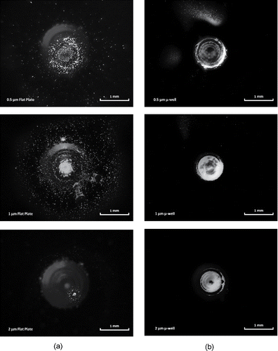 Figure 8. Particle collection sites for 0.5 µm (top), 1 µm (middle), 2 µm (bottom) at 1 slpm flow rate. (a) Flat plate impactor with the nozzle; (b) µ-well impactor with the AF inlet (1 mm scale).