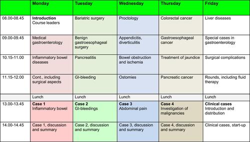 Figure 1 Schedule for the first week, the theoretical week, in the new concept for teaching gastrointestinal diseases to medical students.
