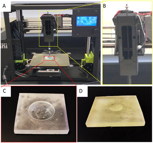 Figure 3. Low-cost cornea bioprinting setup. (A) Modified 3D printer. (B) Syringe-based extruder assembled from 3D-printed parts. (C) A 3D-printed concave substrate. (D) A 3D-printed convex substrate.