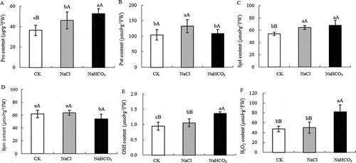 Figure 3. Pro content (a), Put content (b), Spd content (c), Spm content (d),GSH content (e) and H2O2 content (f) of mulberry leaves under NaCl and NaHCO3 stress. Note: The data are from three replicated experiments (n = 3), and represent means ± SE. Significant differences were expressed by different small letters (P < .05), and very significant differences were expressed by different capital letters (P < .01).