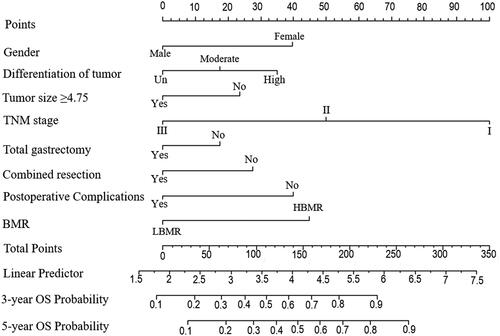 Figure 4. A nomogram indicating the probability of overall survival.