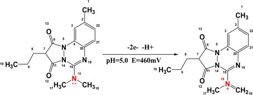 Scheme 1. Electrochemical oxidation mechanism of azapropazone on the zinc oxide-based CPE at pH 5.0.