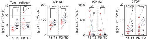 Figure 4. Production of wound healing-associated factors by FS, TS, FD, and TD. Production of type I collagen, TGF-β1 and TGF-β2, and CTGF by FS, FD, TS, and TD (for type I collagen, n = 5 for each; for others, n = 6 for each).