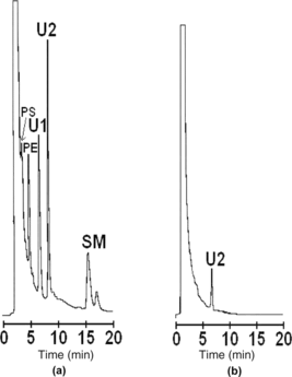 Figure 5 Normal phase HPLC chromatograms of phospholipids from an ultrasound hemolysate (a), and an ultrasound hemolysate additionally purified on the Q-FF resin (b), after storage for 60 days at − 18°C.