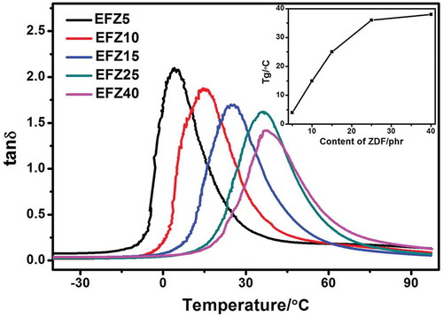 Figure 4. Tan δ of ENR cured by ZDF with variable ZDF content.