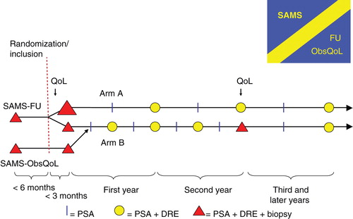 Figure 2. Flowchart for the first 3 years of the Study of Active Monitoring in Sweden (SAMS). Patients in SAMS-ObsQoL are managed similarly to patients randomized to standard follow-up in SAMS-FU. The larger red triangle represents an extensive rebiopsy and the smaller standard biopsies (Table II). QoL = Quality of life and symptom questionnaire; PSA = blood sample for prostate-specific antigen; DRE = digital rectal examination.