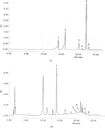 Figure 4 HPLC chromatograms of (a) a mixture of flavonoid standard; (b) red pitaya seed [absorbance at 280 nm vs. time (min)]: catechin (1), epicatechin (2), rutin (3), quercetin (4), myricetin (5), and kaempferol (6).