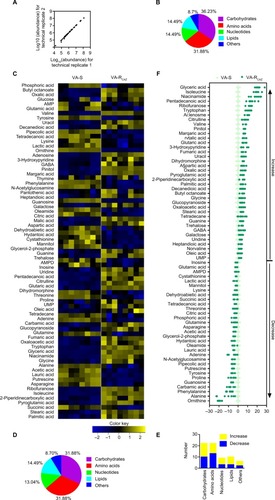 Figure 2 Metabolic profiles of VA-S and VA-RCAZ.Notes: (A) Abundance of metabolites quantified in samples over two technical replicates is shown. Pearson correlation coefficient between technical replicates varies between 0.997 and 1.0. (B) Percentage of metabolites in every category. (C) Heat map of differential abundance of metabolites (row). Yellow and blue indicate increase and decrease of the metabolites scaled to mean and SD of row metabolite level, respectively (see color scale). Four biologic replicates in each group and two technical repeats for each biologic replicate were performed, yielding a total of 16 data sets. (D) Percentage of differential abundant metabolites in every category. (E) Number of differential abundant metabolites increased and decreased in every category. (F) Z-score plots corresponding to the data in panel (A). The data from VA-RCAZ are separately scaled to the mean and SD of VA-S. Each point represents one metabolite in one technical repeat and is colored by sample types (yellow: VA-S, blue: VA-RCAZ).Abbreviations: VA-RCAZ, ceftazidime-resistant Vibrio alginolyticus; VA-S, ceftazidime-sensitive Vibrio alginolyticus.