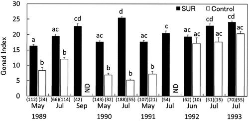 Fig. 9. Effects of sea urchin removal (SUR) on gonadal indices (mean ± SE) of Strongylocentrotus intermedius in the northeastern (NE, Esashi) region from May 1989 to July 1993. Different letters indicate significant differences among months and treatments in a one-way ANOVA with a post hoc comparison using Scheffé’s method. The number of samples is indicated in parentheses. ND, no data.