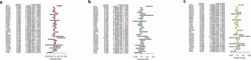 Figure 3. Considering that the survival analysis was influenced by multiple variables of the patient, univariate Cox regression was performed to reduce the influence of other variables. (a)COX regression showed that ABCC5 was a predictor of overall survival (p < 0.001). (b)COX regression showed that ABCC5 was a predictor of progression-free survival (p < 0.001). (c)COX regression showed that ABCC5 was a predictor of disease-free survival (p < 0.001)