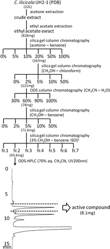 Fig 1. Purification procedure for phytotoxin from Calonectria ilicicola and ODS-HPLC chromatogram. aNecessary quantity of solvent was divided into seven fractions equally.