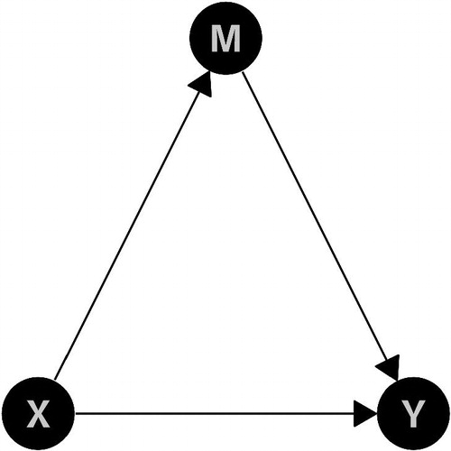 Fig. 5 DAG for mediation analysis.