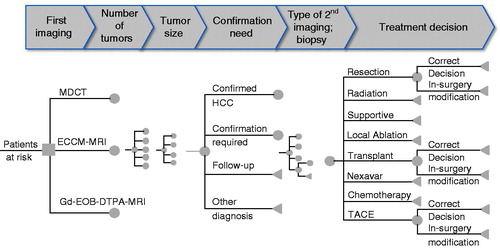 Figure 1. Structure of the decision tree from first diagnostic imaging to confirmed treatment decision. MDCT, three-phase multi-detector computed tomography; ECCM-MRI, extracellular contrast media-enhanced magnetic resonance imaging; Gd-EOB-DTPA-MRI, gadolinium-ethoxybenzyl-diethylenetriamine-pentaacetic acid magnetic resonance imaging; HCC, hepatocellular carcinoma; TACE, transcatheter arterial chemoembolization.