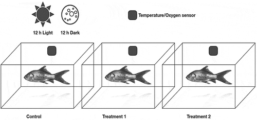 Figure 1. Example of the experimental set-up for feeding tests.