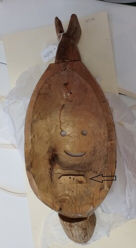 Figure 19. Trimmed bite block on Seal mask. Yup’ik mask 101591. Anima Mundi, Vatican Museums. Photo Ellen Pearlstein.