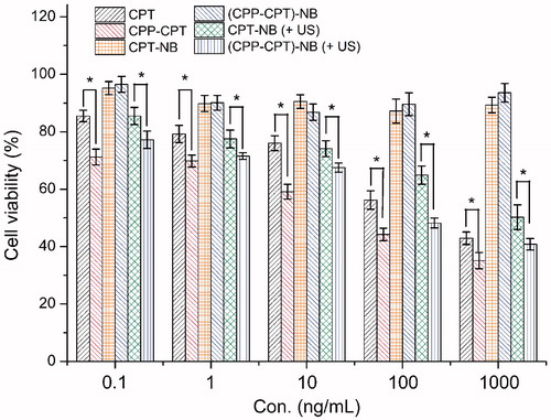 Figure 6. Cytotoxicity of CPT, CPP–CPT and various NBs against HeLa cells with different concentration. The data are presented as the mean ± SD (n = 6). Asterisk indicates p < 0.05.