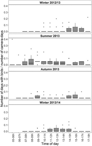 Figure 6. Temporal pattern of bird occurrence in different seasons of the year. Presented as percentage of the number of days with birds (days with birds present at the specific time of day) to the number of camera-days (days on which camera traps were operational in the field at the one-hour interval).
