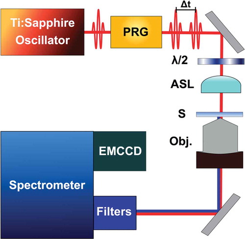 Figure 1. Optical layout used for multi-dimensional interferometric nonlinear optical (INLO) imaging. Components include: PRG: Pulse Replica Generator, λ/2: half-wave plate; ASL: aspherical lens; S: sample; Obj.: compound objective (100x, NA = 1.25)